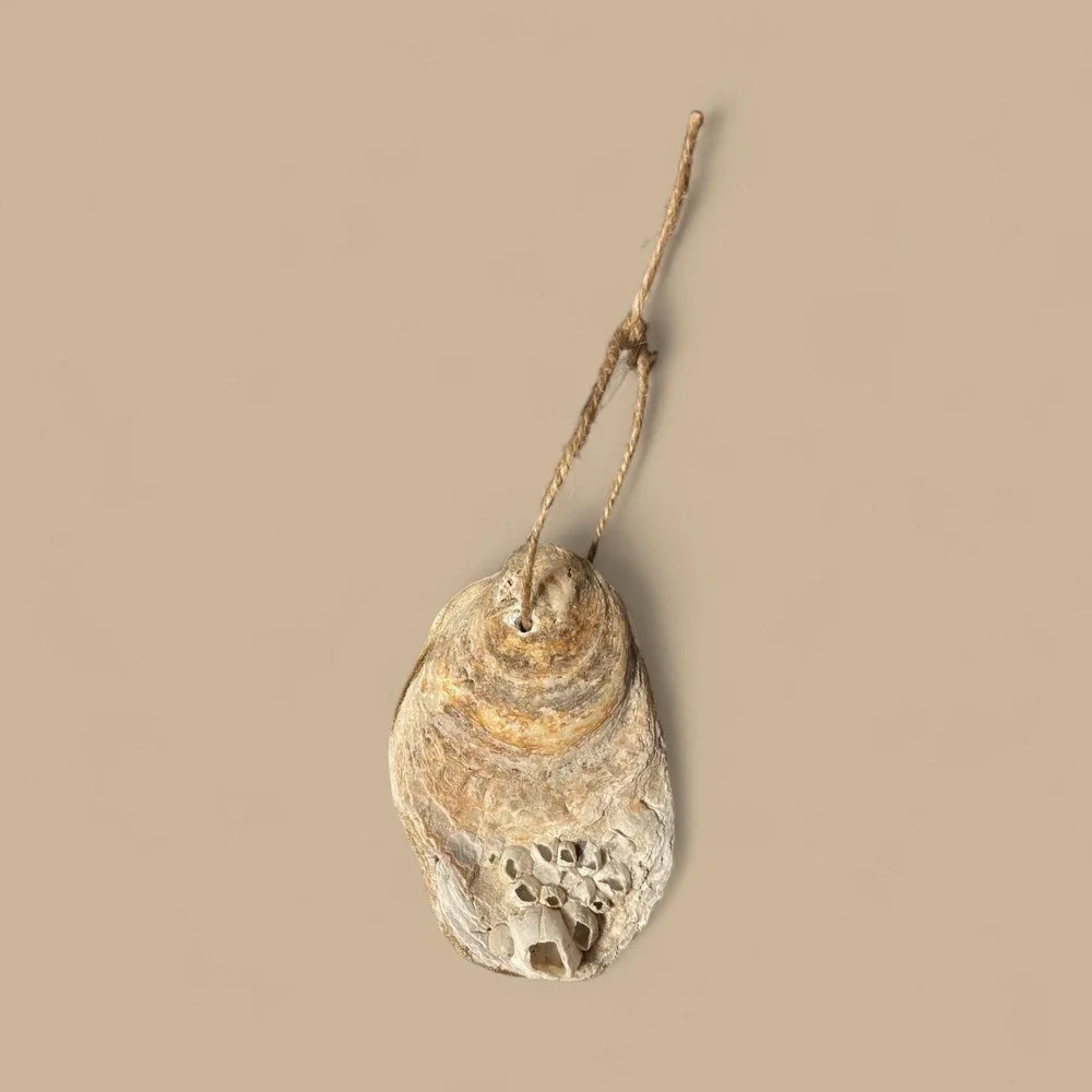 Decoupage‎ Oyster Shell 242025